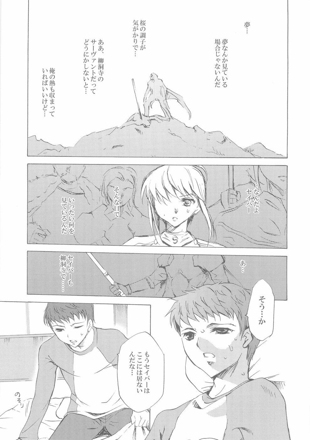 Rough Face II stay with my love - Fate stay night Innocent - Page 2