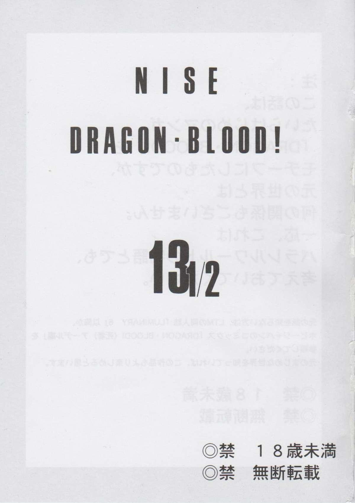 Hajime Taira - Dragon Blood 13.5 1