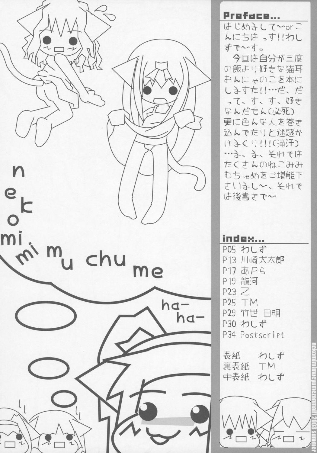 Cum On Pussy Nekomimi Muchume Zanmai!! Monster - Page 3