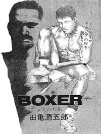 Boxer 1