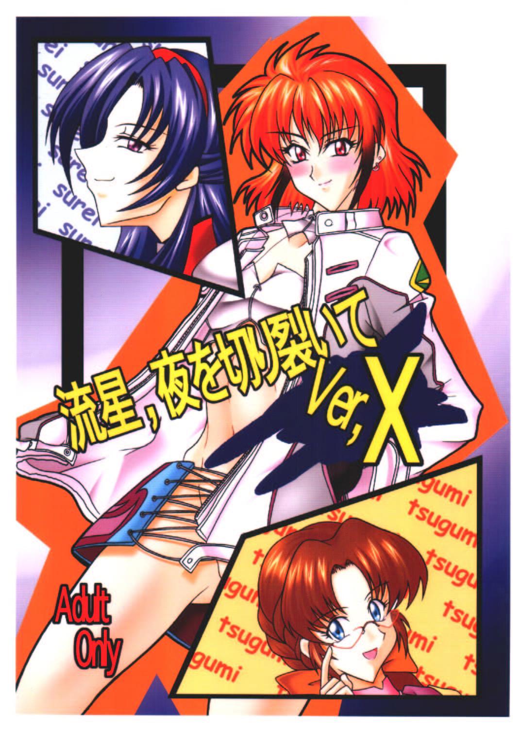Real Sex Ryuusei, Yoru o Kirisai te Ver . X - Super robot wars Furry - Page 1