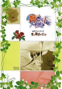 Nee, Chan to Shiyou yo! Koushiki Fanbook - Ai to Batou no Hibi 1